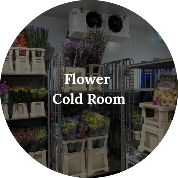 Flower Cold Room