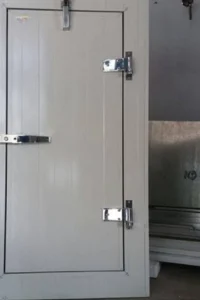 Flush Door