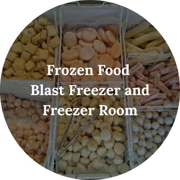 Frozen Food - Blast Freezer and Freezer Room