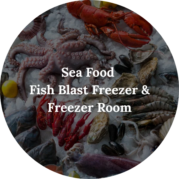 Sea Food - Fish Blast Freezer & Freezer Room