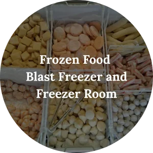 Frozen Food - Blast Freezer and Freezer Room