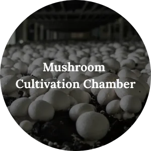 Mushroom - Cultivation Chamber