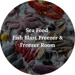 Sea Food - Fish Blast Freezer & Freezer Room